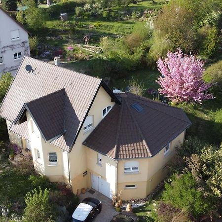 شقة Chez Olivier Et Josette Sur Mulhouse Sud Illfurth المظهر الخارجي الصورة