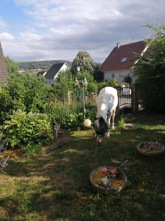 شقة Chez Olivier Et Josette Sur Mulhouse Sud Illfurth المظهر الخارجي الصورة