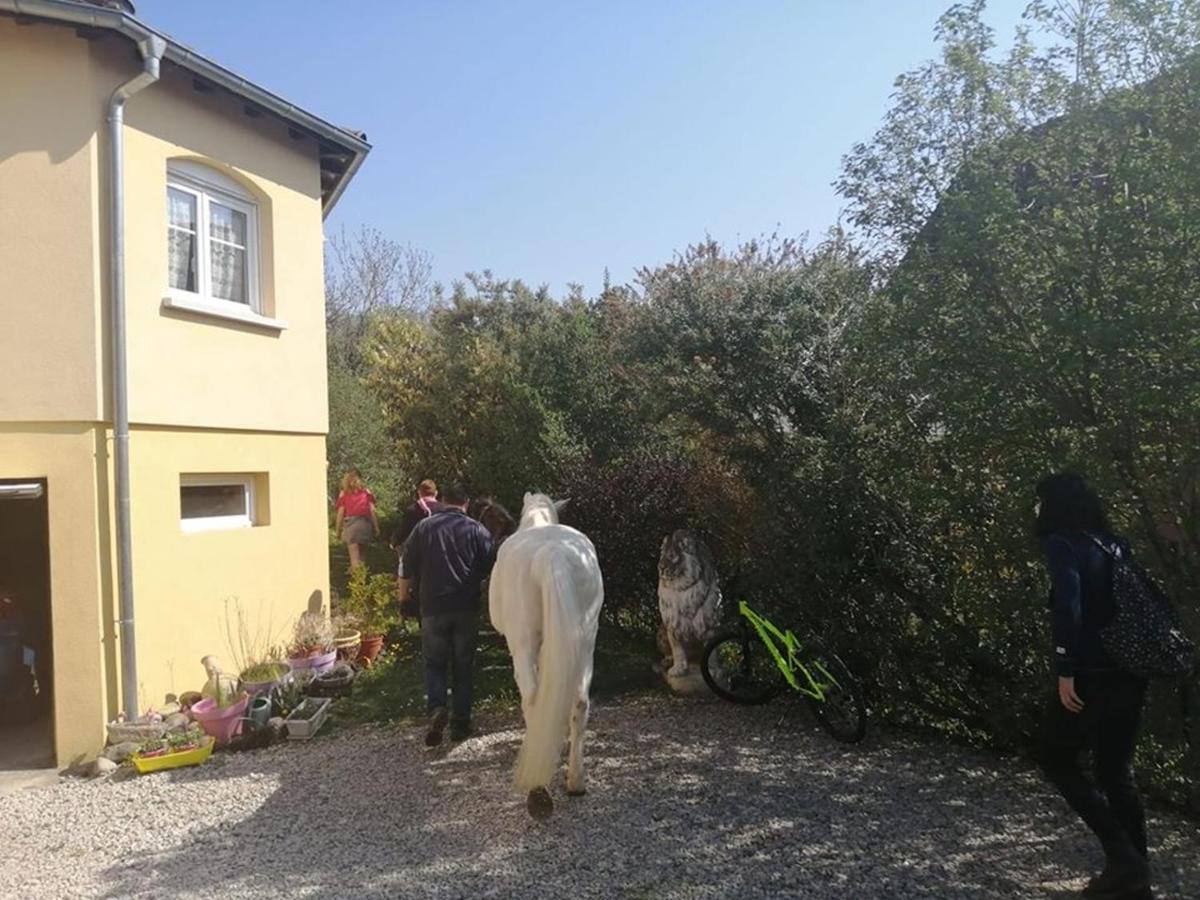 شقة Chez Olivier Et Josette Sur Mulhouse Sud Illfurth المظهر الخارجي الصورة