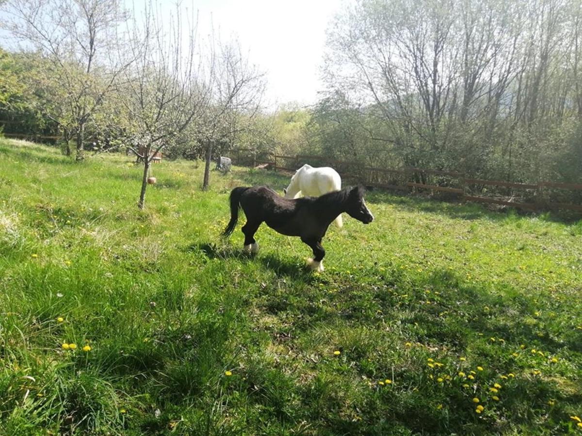 شقة Chez Olivier Et Josette Sur Mulhouse Sud Illfurth المظهر الخارجي الصورة