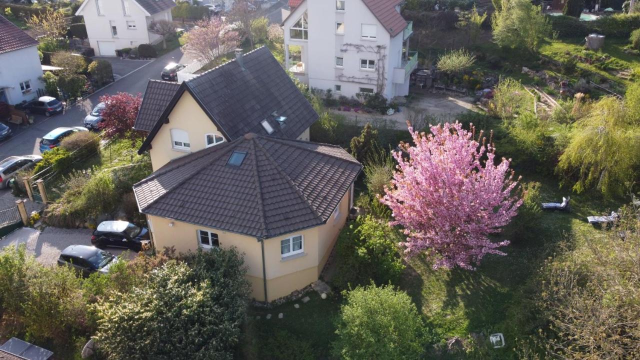 شقة Chez Olivier Et Josette Sur Mulhouse Sud Illfurth المظهر الخارجي الصورة