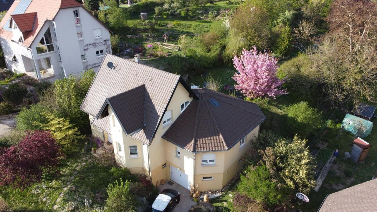 شقة Chez Olivier Et Josette Sur Mulhouse Sud Illfurth المظهر الخارجي الصورة