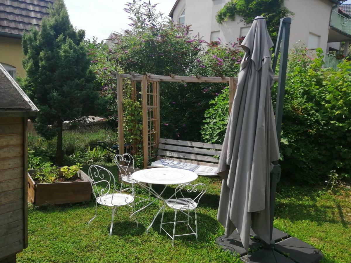 شقة Chez Olivier Et Josette Sur Mulhouse Sud Illfurth المظهر الخارجي الصورة