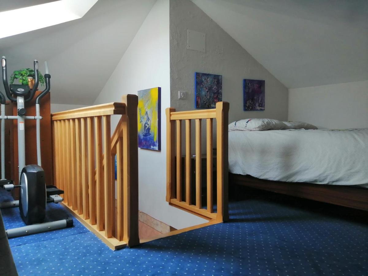 شقة Chez Olivier Et Josette Sur Mulhouse Sud Illfurth المظهر الخارجي الصورة