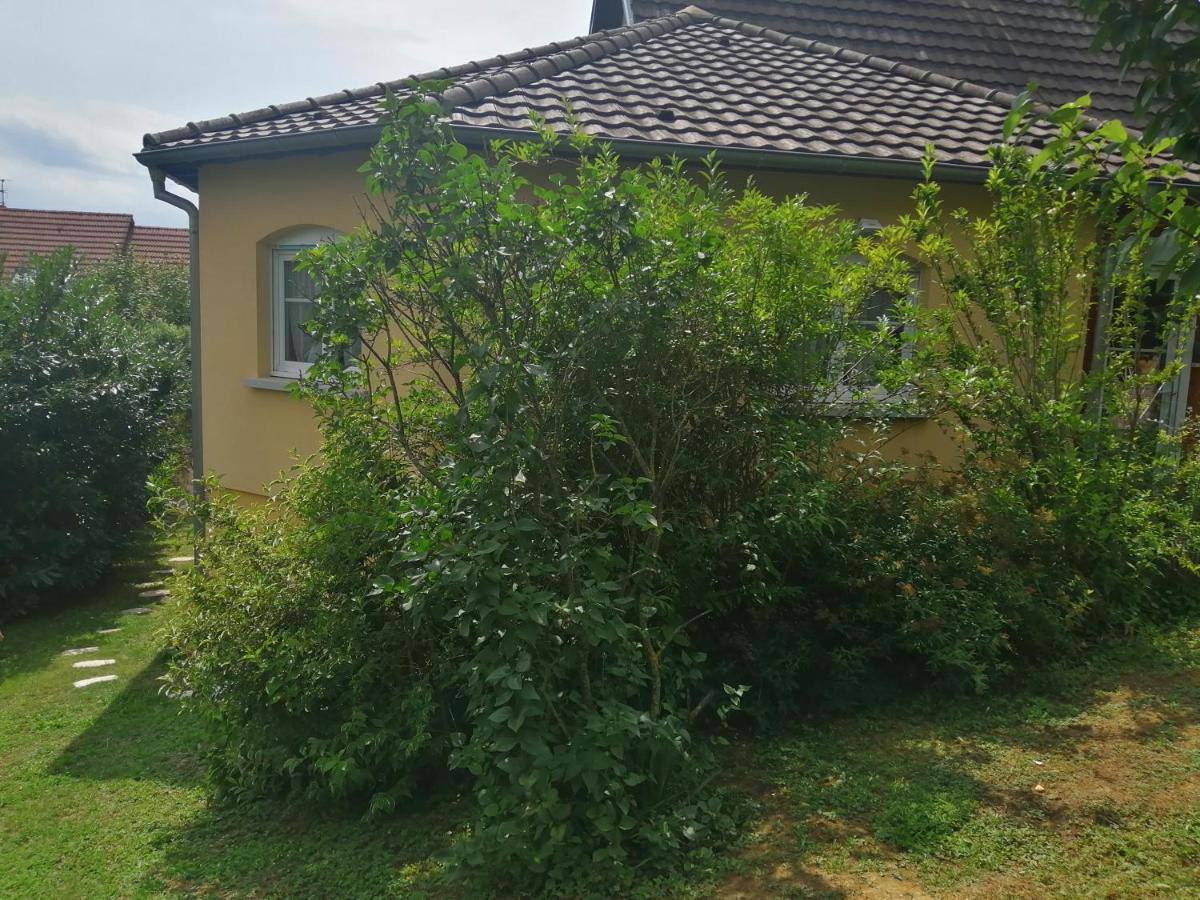 شقة Chez Olivier Et Josette Sur Mulhouse Sud Illfurth المظهر الخارجي الصورة